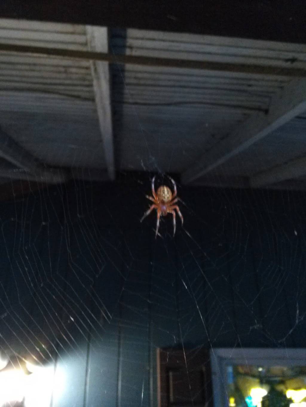 Millers Cafe | restaurant | 811 St Johns Rd, St Johns, PA 18247, USA | 5707885787 OR +1 570-788-5787