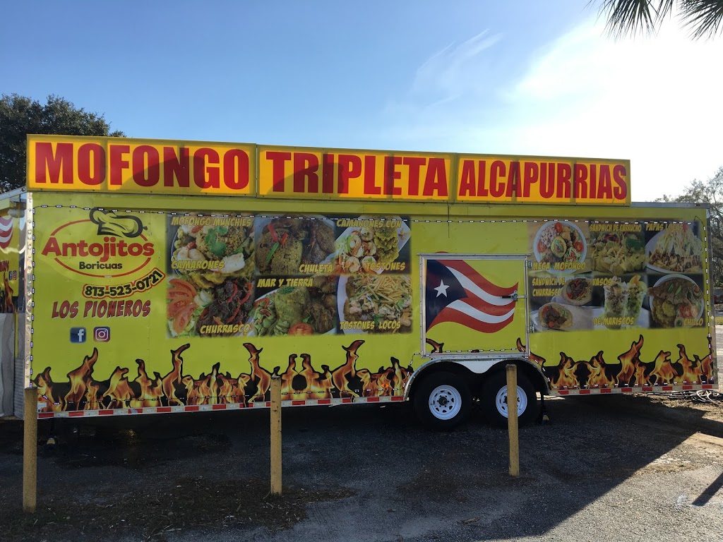 Antojitos Boricuas | restaurant | 1449 W Brandon Blvd, Brandon, FL 33511, USA | 8135230721 OR +1 813-523-0721