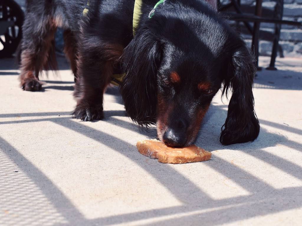 Hot Chick A Latte Coffee House | cafe | 4736 E Colfax Ave, Denver, CO 80220, USA | 3035377190 OR +1 303-537-7190