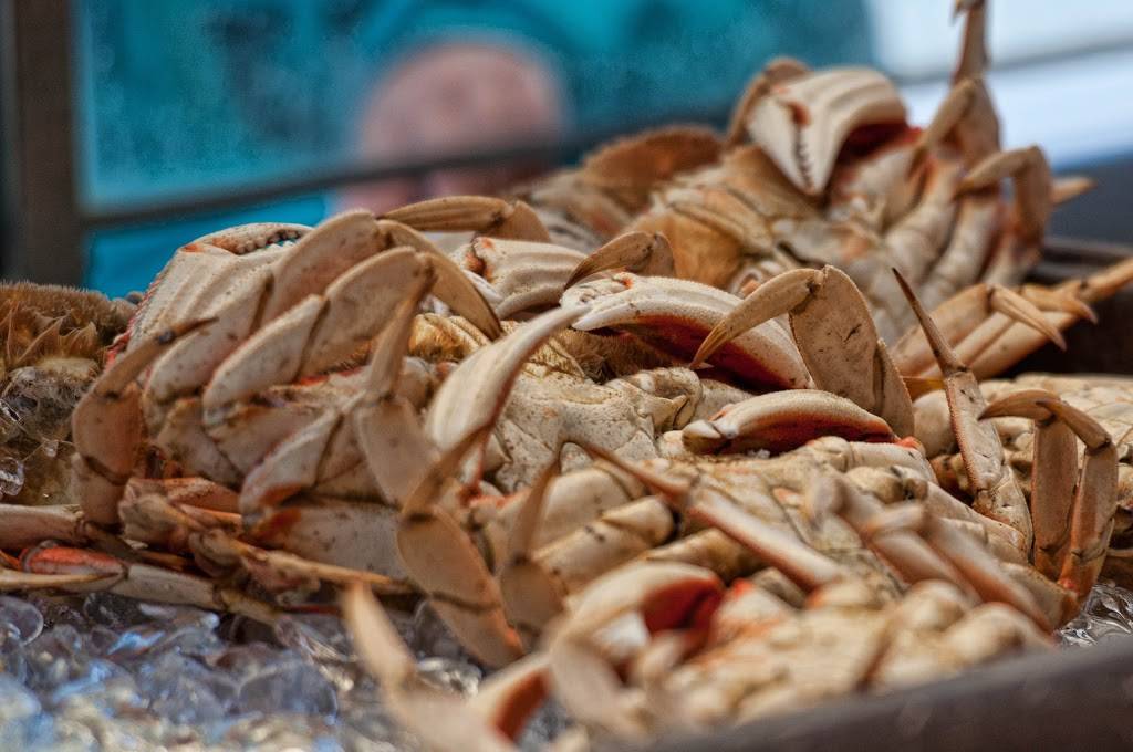 Guardinos | restaurant | 2801 Taylor St, San Francisco, CA 94133, USA | 4157753669 OR +1 415-775-3669