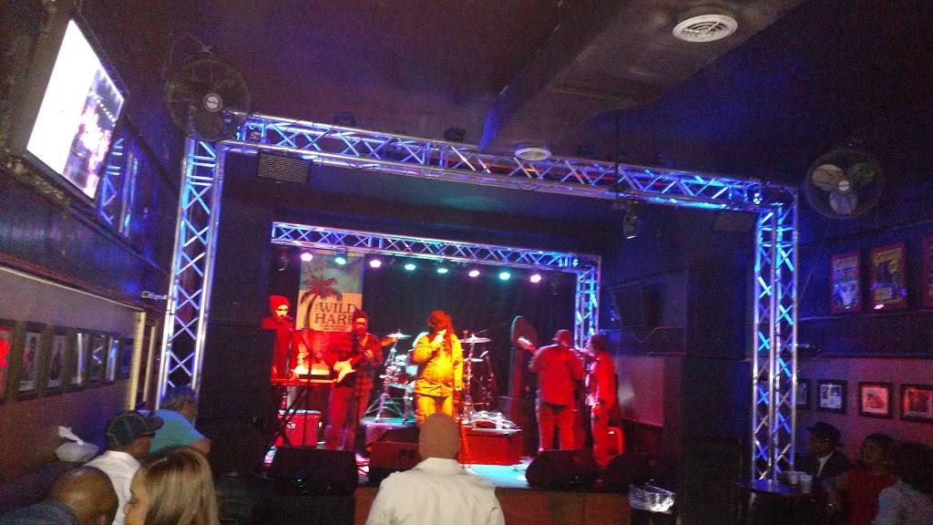 The Wild Hare & Singing Armadillo Frog Sanctuary | restaurant | 2610 N Halsted St, Chicago, IL 60614, USA | 7737703511 OR +1 773-770-3511