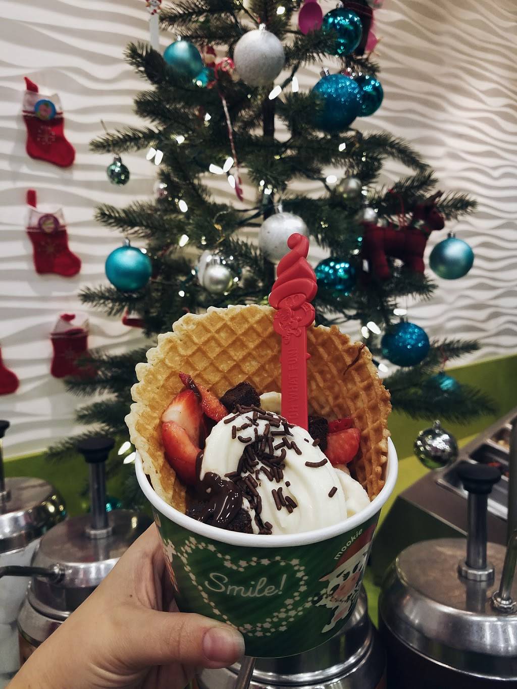 Menchies Frozen Yogurt | bakery | 6046 Winthrop Town Centre Ave, Riverview, FL 33578, USA | 8134093834 OR +1 813-409-3834