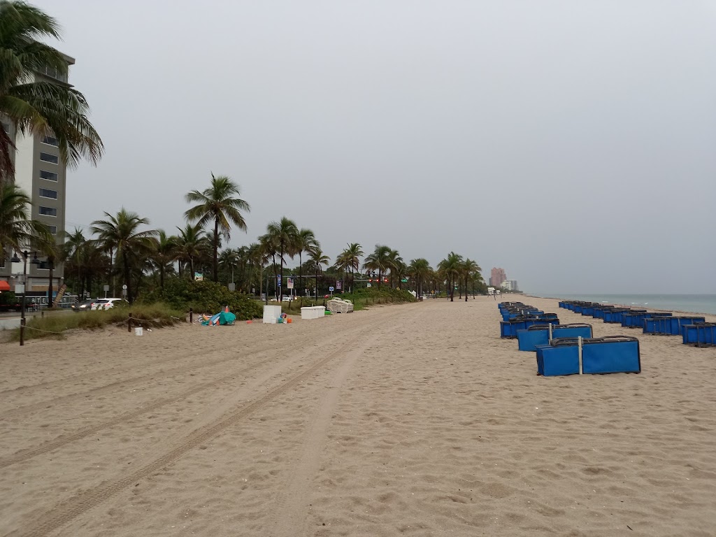 Pizza Rotti & Grill Helal food mediternean. | restaurant | 3142 NE 9th St, Fort Lauderdale, FL 33304, USA | 7862017111 OR +1 786-201-7111