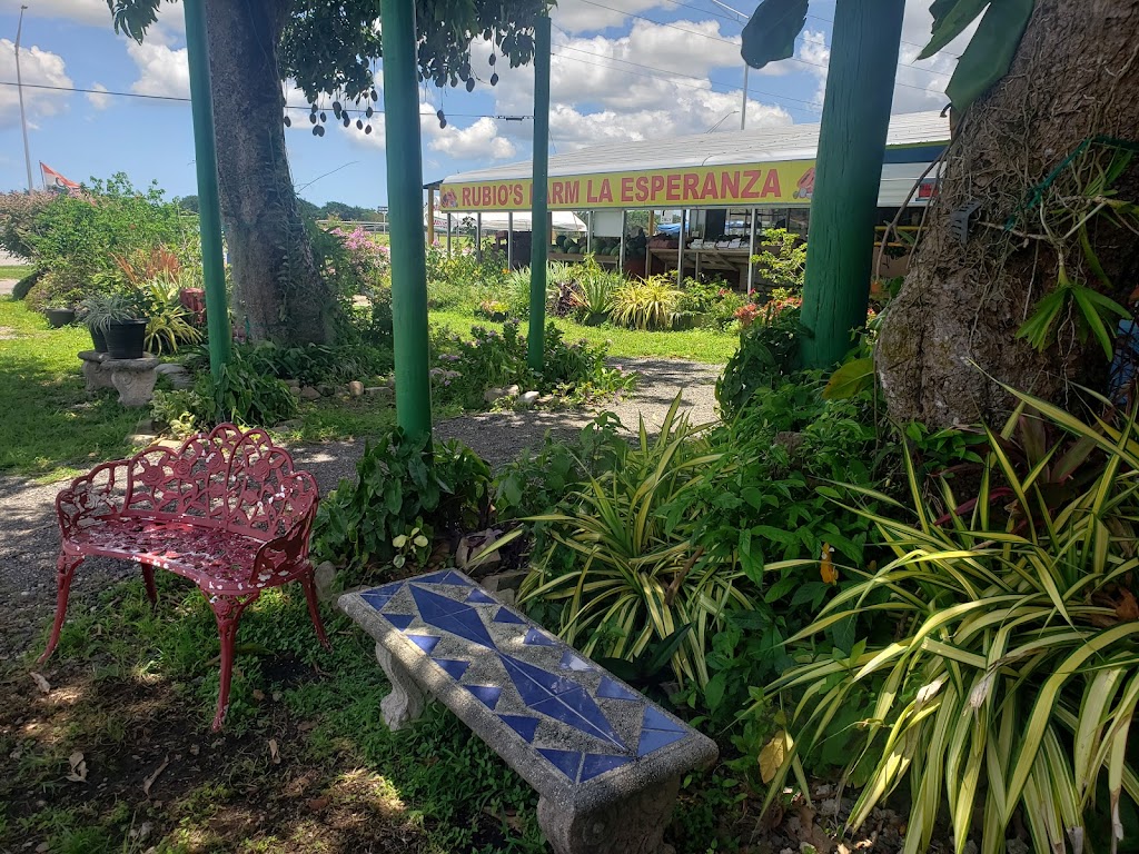 Juice Brews | restaurant | 29220 SW 177th Ave, Homestead, FL 33030, USA | 3056107848 OR +1 305-610-7848