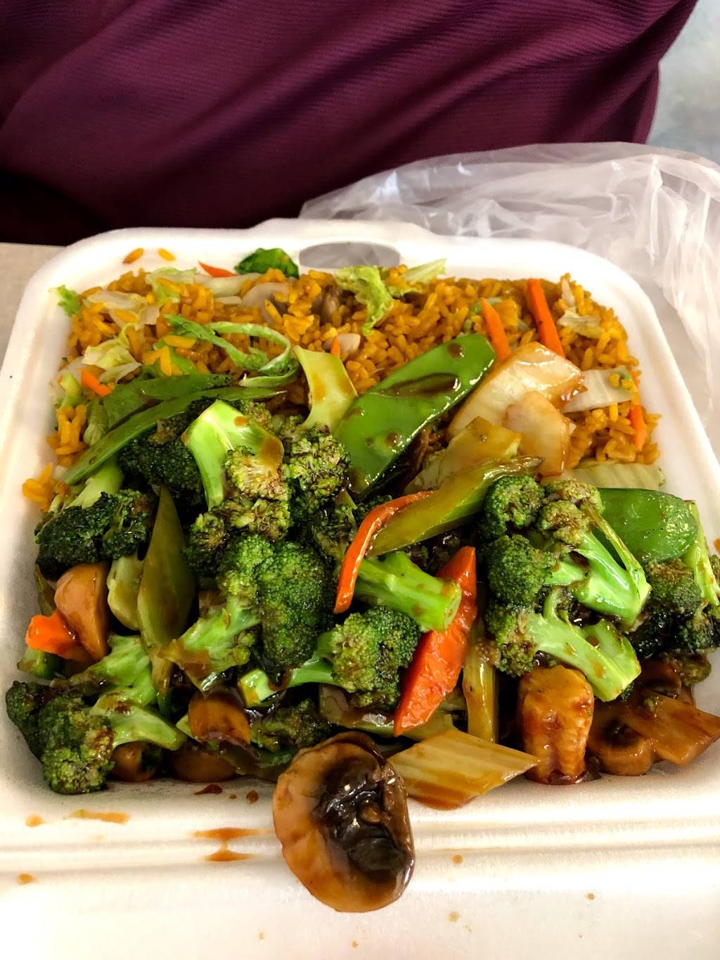 Jade Garden | restaurant | 2626 W Hillsborough Ave, Tampa, FL 33614, USA | 8138019331 OR +1 813-801-9331