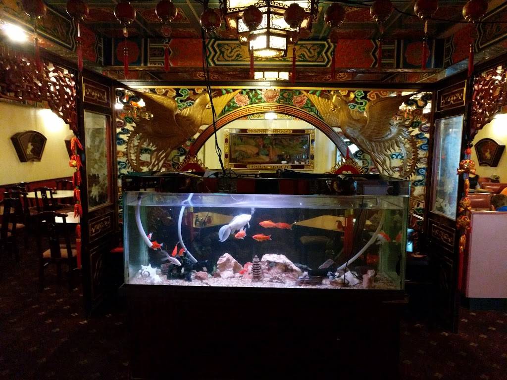 China City Restaurant | restaurant | 1803 Martha Berry Blvd NE #1, Rome, GA 30165, USA | 7062912499 OR +1 706-291-2499