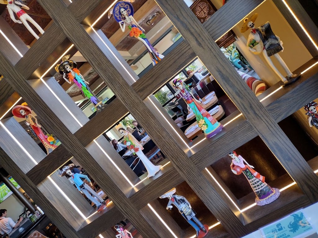 Odelay Tex-Mex | restaurant | 5600 W Lovers Ln Suite 109, Dallas, TX 75209, USA | 9727070595 OR +1 972-707-0595