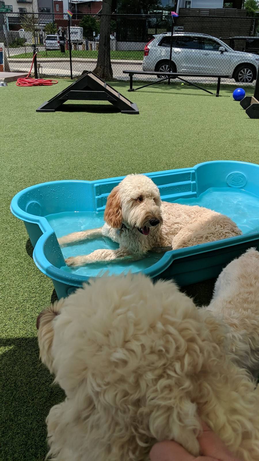 Play Wash Pint | restaurant | 113 Johnson St, Chattanooga, TN 37408, USA | 4236432275 OR +1 423-643-2275