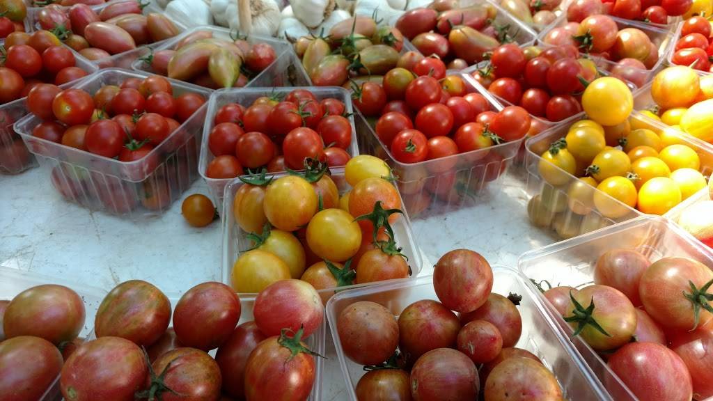 Douglass Loop Farmers Market | restaurant | 2005 Douglass Blvd, Louisville, KY 40205, USA | 5024522629 OR +1 502-452-2629