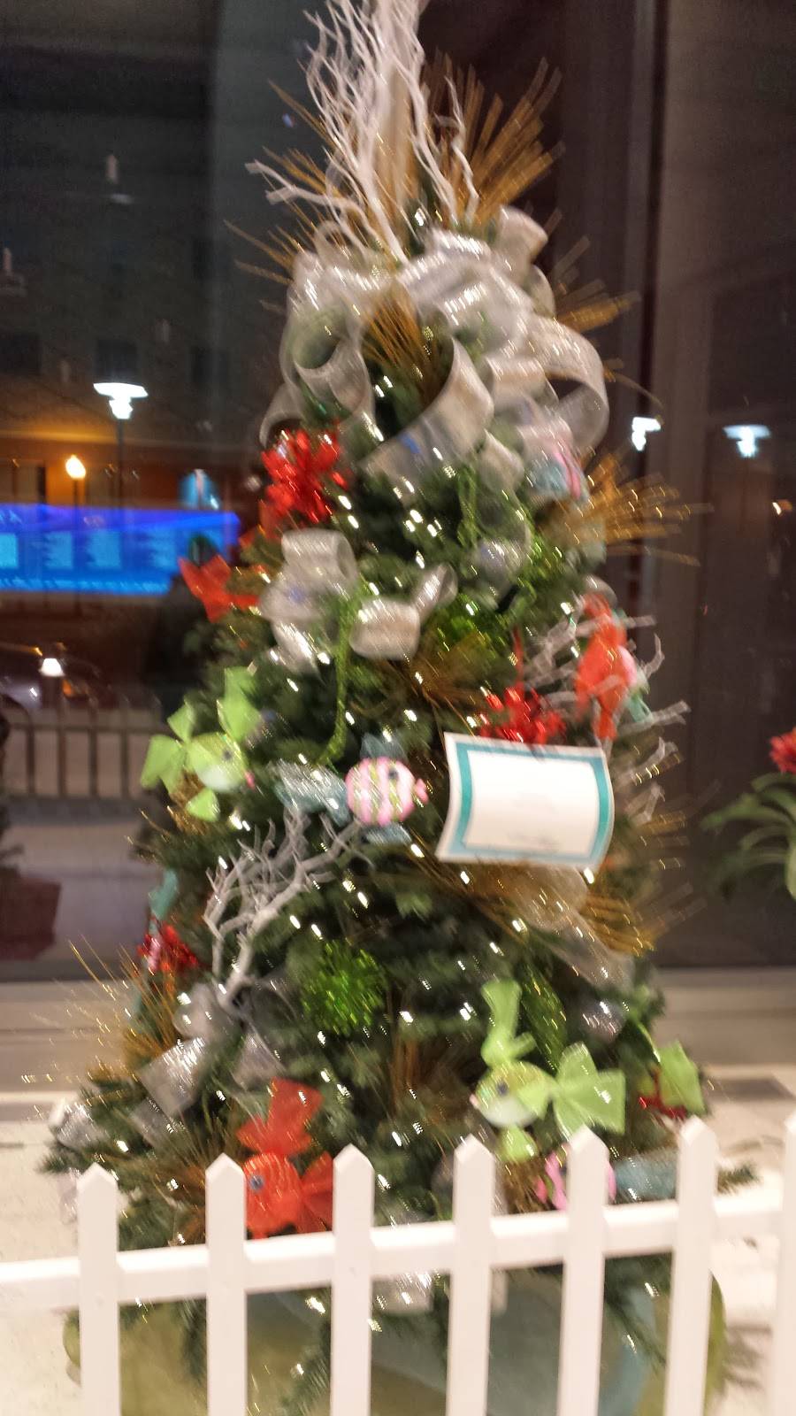 Captain Ds | restaurant | 514 16th St S, Birmingham, AL 35233, USA | 2059332792 OR +1 205-933-2792