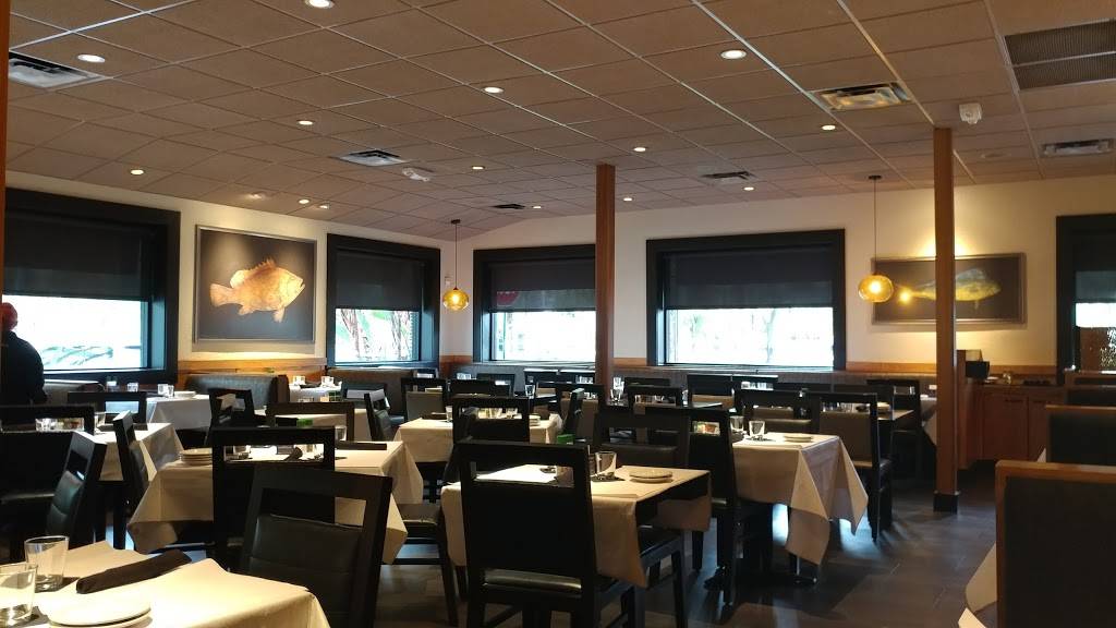 Bonefish Grill | restaurant | 1455 N University Dr, Coral Springs, FL 33071, USA | 9545090405 OR +1 954-509-0405