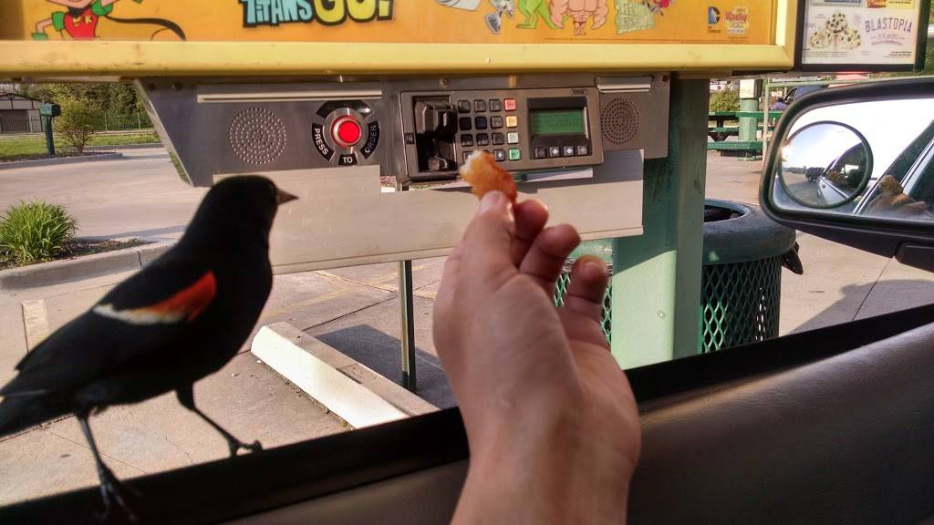 Sonic Drive-In | restaurant | 349 Romence Rd, Portage, MI 49024, USA | 2693247777 OR +1 269-324-7777