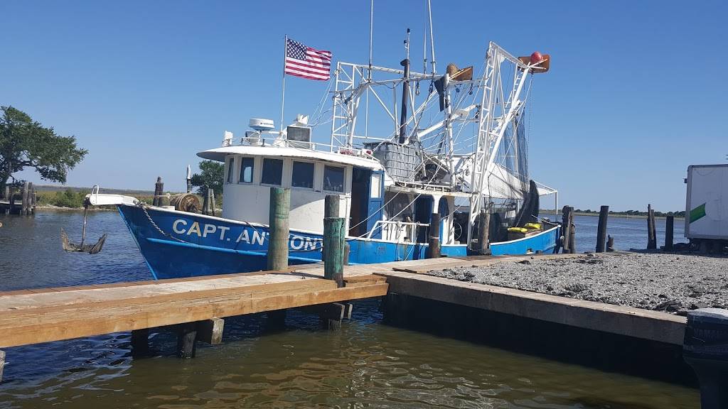 Harbor Light Marina | restaurant | 8239 LA-56, Chauvin, LA 70344, USA | 9854663167 OR +1 985-466-3167