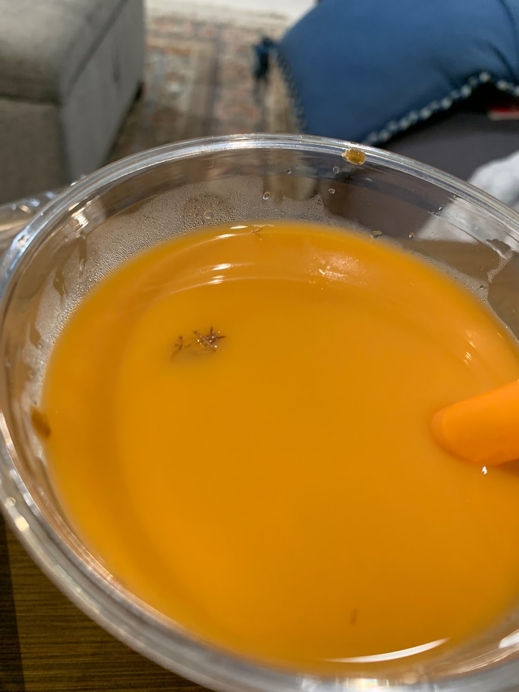 Abace Sushi | restaurant | 695 9th Ave N, New York, NY 10036, USA | 2129771777 OR +1 212-977-1777