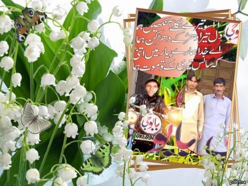 Kanpai Sushi | restaurant | Aliso Viejo, CA 92656, USA | 9493608883 OR +1 949-360-8883