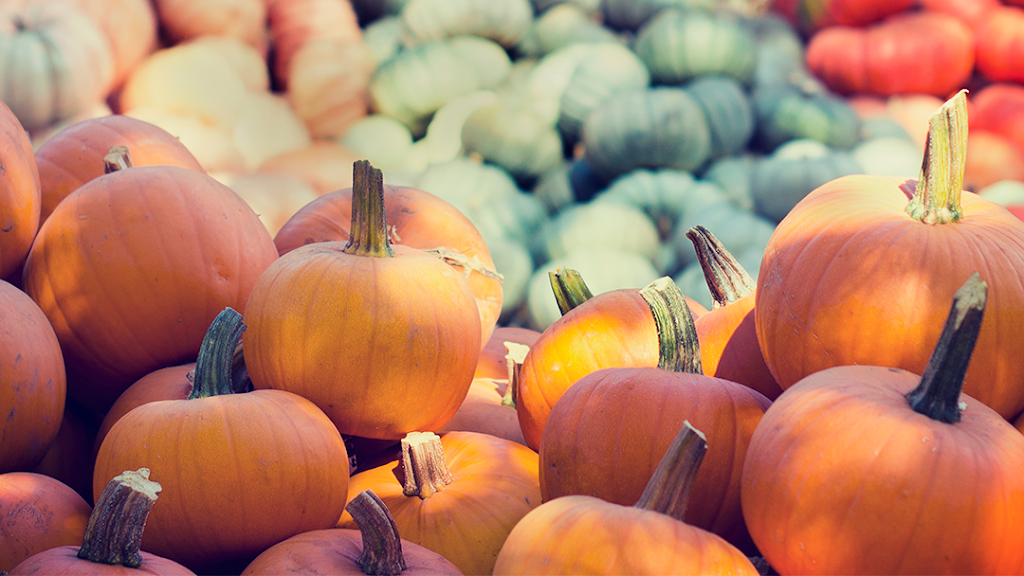 Keppelers | restaurant | 3211 Co Rd 6, Edgerton, OH 43517, USA | 4195192669 OR +1 419-519-2669