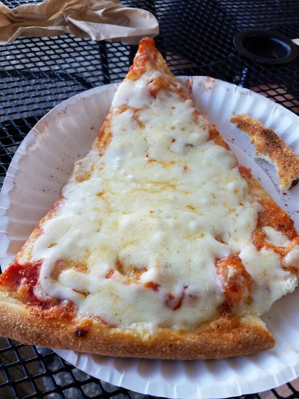 New York New York Pizza | restaurant | 533 S Howard Ave, Tampa, FL 33606, USA | 8132533929 OR +1 813-253-3929