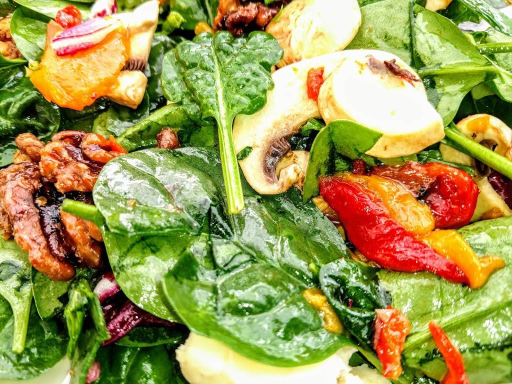 Enoteca Vespaio | restaurant | 1610 S Congress Ave, Austin, TX 78704, USA | 5124417672 OR +1 512-441-7672