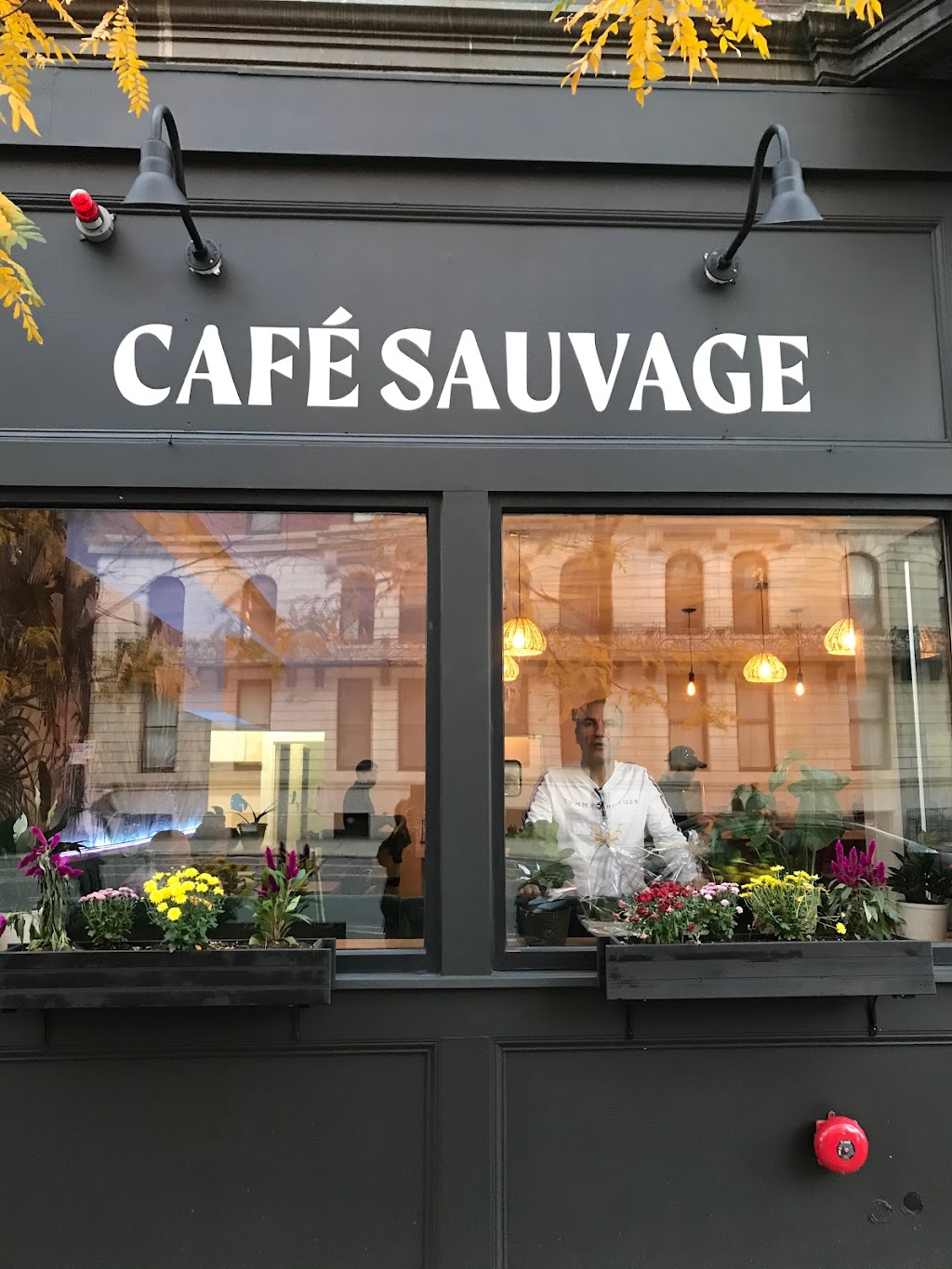 CAFÉ SAUVAGE | cafe | 25 Massachusetts Ave, Boston, MA 02115, USA | 8572770075 OR +1 857-277-0075