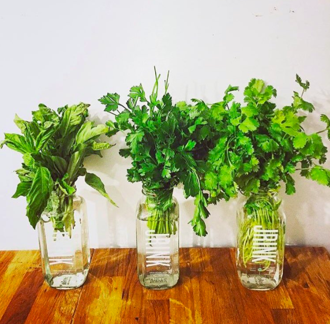 JRINK Juicery On 14th St (Logan Circle) | restaurant | 1630 14th St NW, Washington, DC 20009, USA | 2024604920 OR +1 202-460-4920