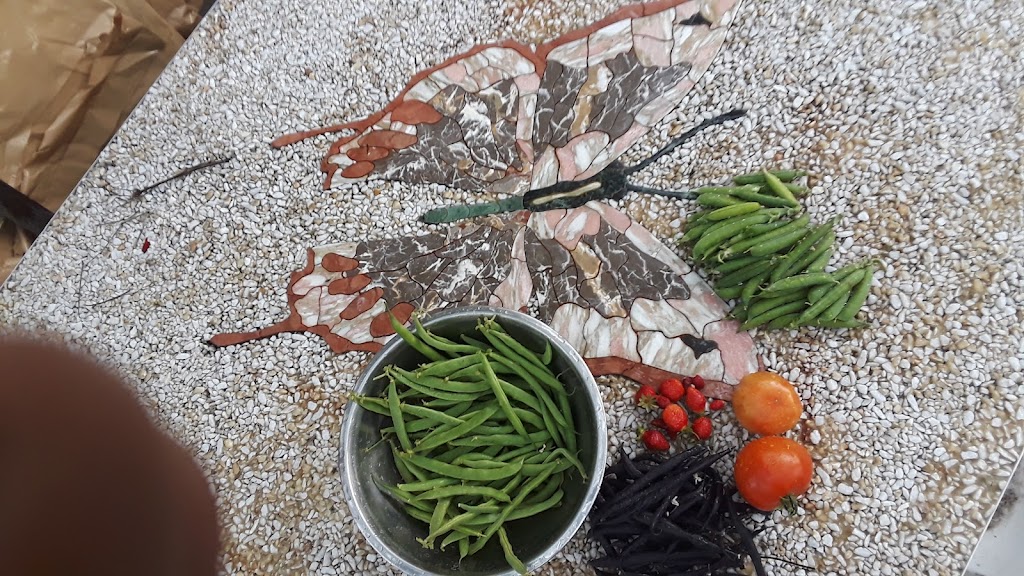 Trattoria #PodereBerti. "Italian Restaurant" | restaurant | 51 Clayton Street Lower unit, San Rafael, CA 94901, USA | 4152611787 OR +1 415-261-1787