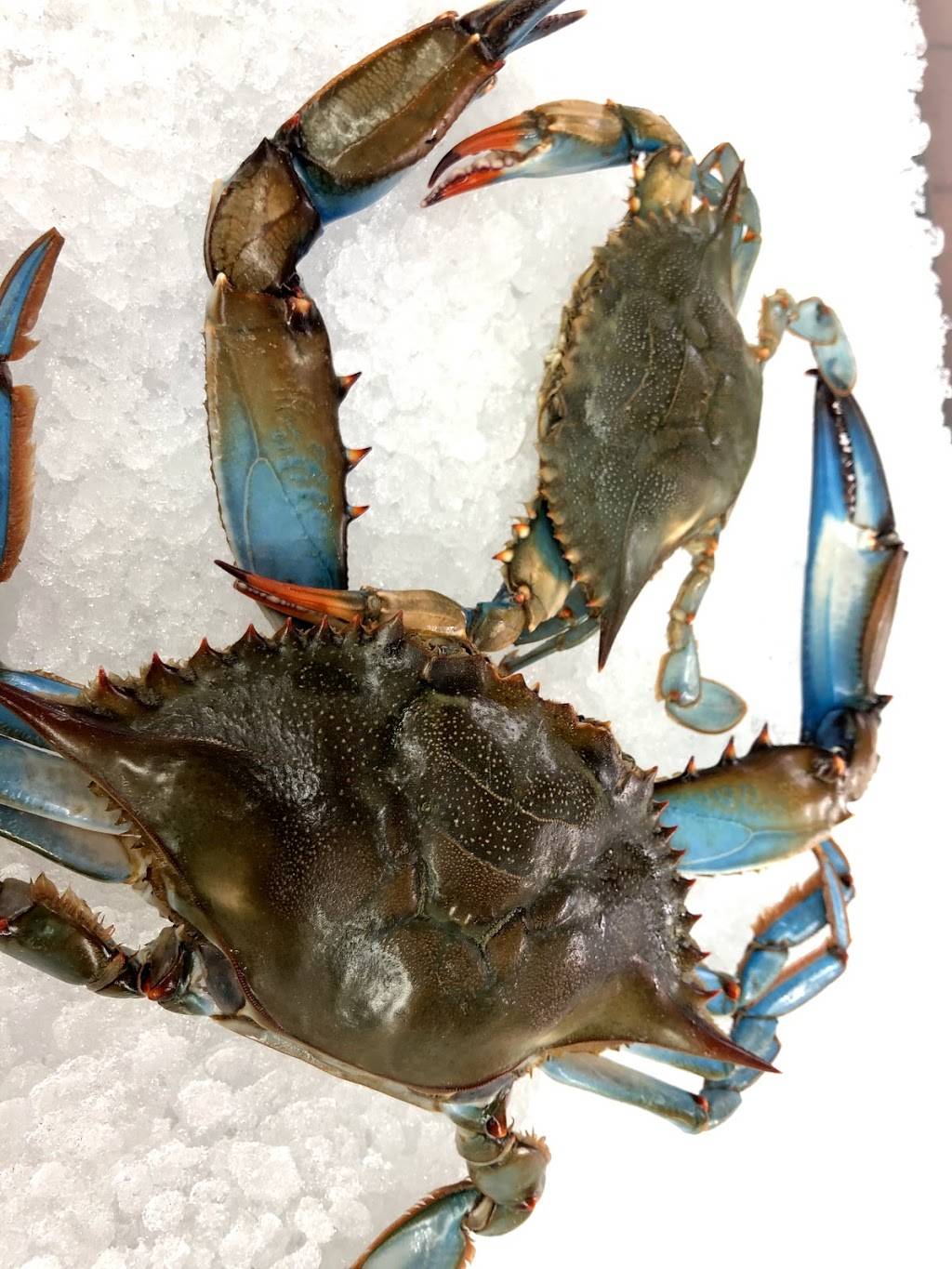 Flying Fish Seafood | restaurant | 2652 S 9th St, Philadelphia, PA 19148, USA | 2153395125 OR +1 215-339-5125