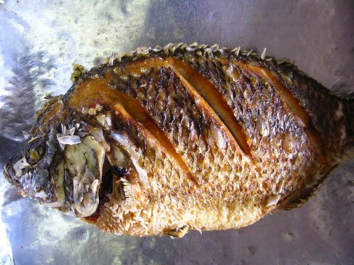 Island Gourmet Restaurant | restaurant | 1421 W 11th St, Tracy, CA 95376, USA | 2098338418 OR +1 209-833-8418