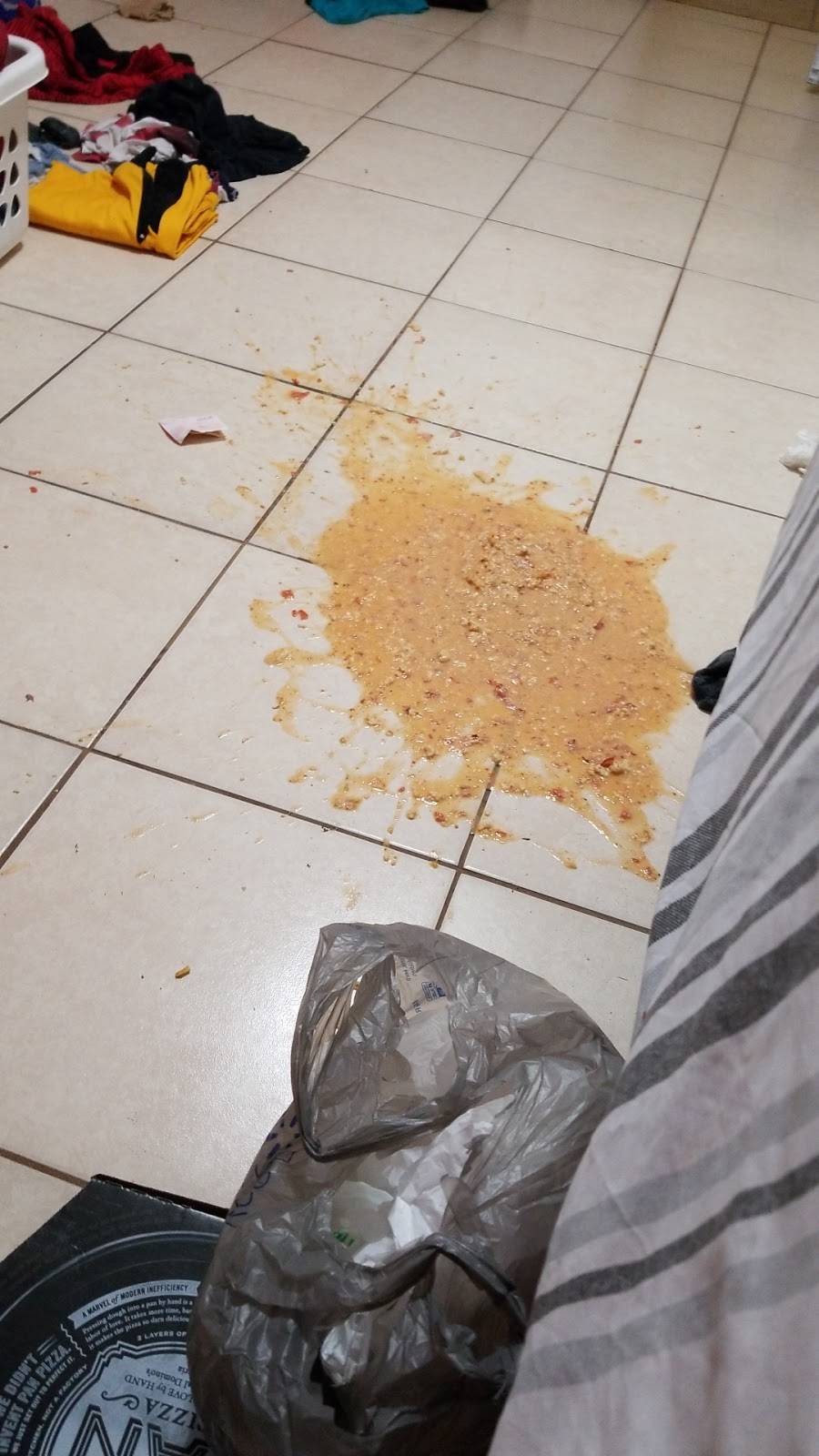 Dominos Pizza | meal delivery | 104 Commonwealth Ave N Ste 2, Polk City, FL 33868, USA | 8638744888 OR +1 863-874-4888