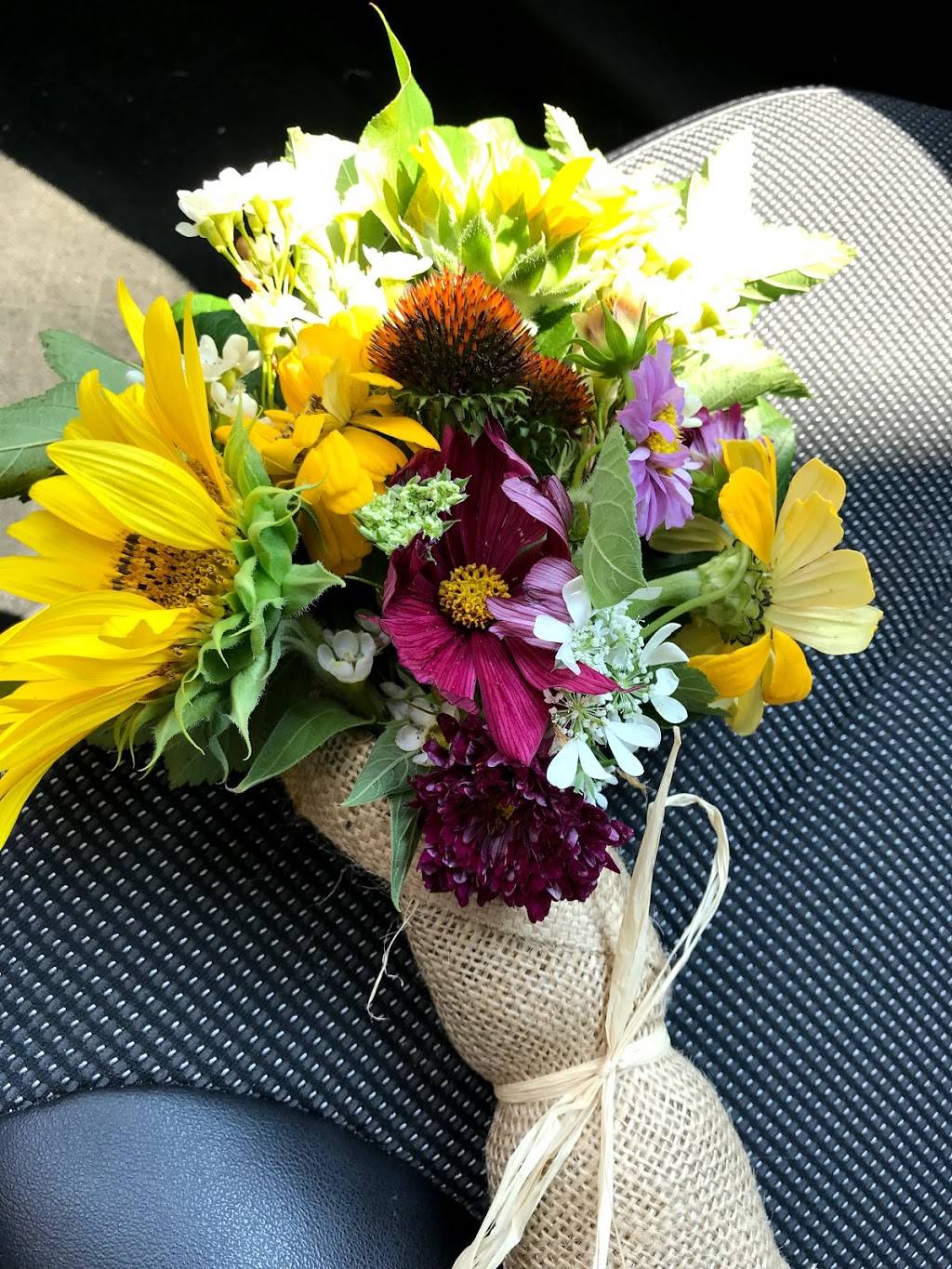 Eden Chicago | restaurant | 1748 W Lake St, Chicago, IL 60612, USA | 3123662294 OR +1 312-366-2294