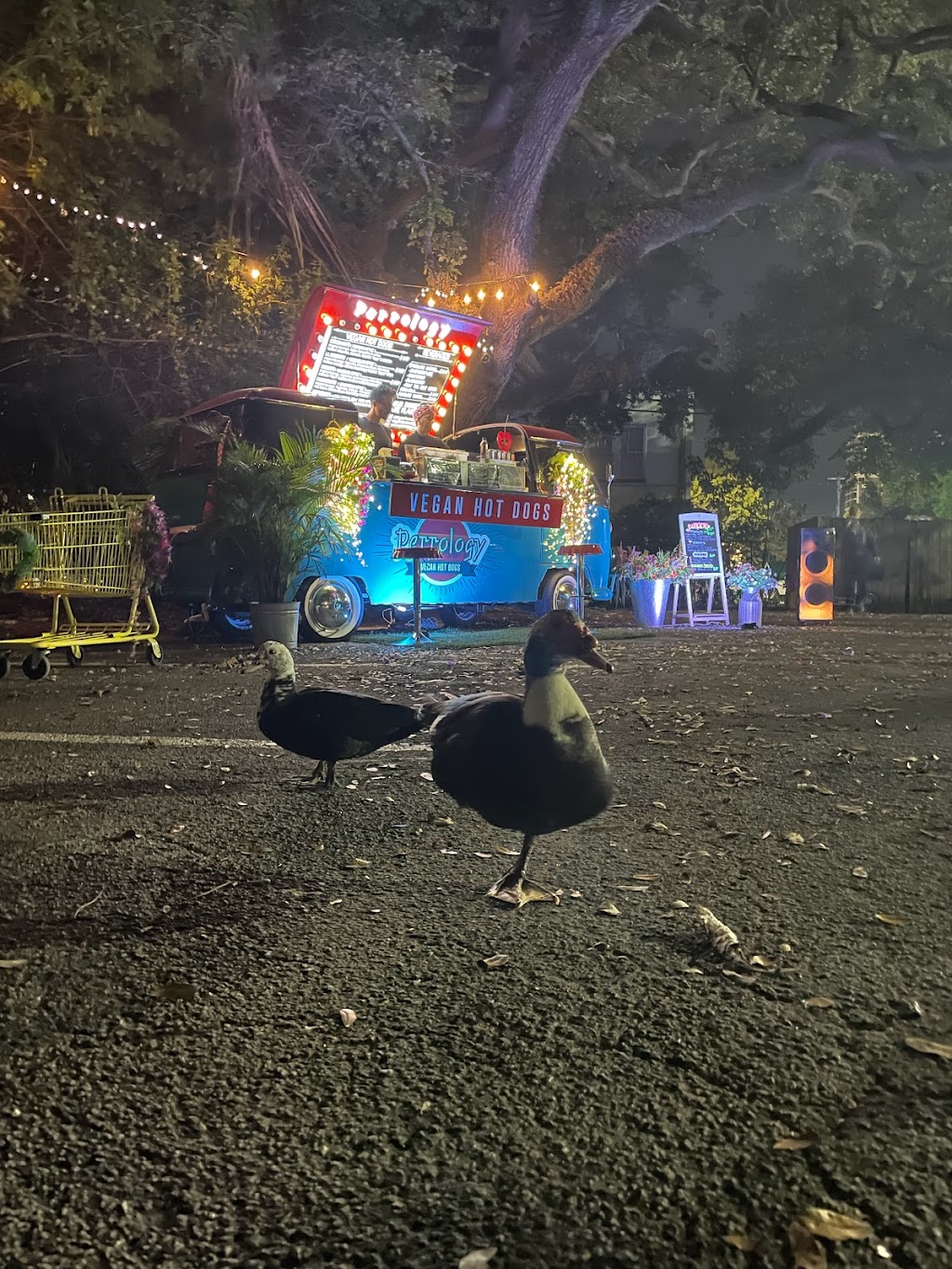 Perrology | restaurant | 3223 NE 2nd Ave, Miami, FL 33137, USA | 7862857450 OR +1 786-285-7450