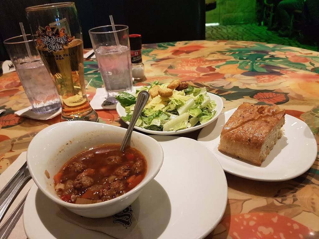 Rainforest Cafe Niagara Falls USA | restaurant | 300 3rd St, Niagara Falls, NY 14303, USA | 7162782626 OR +1 716-278-2626