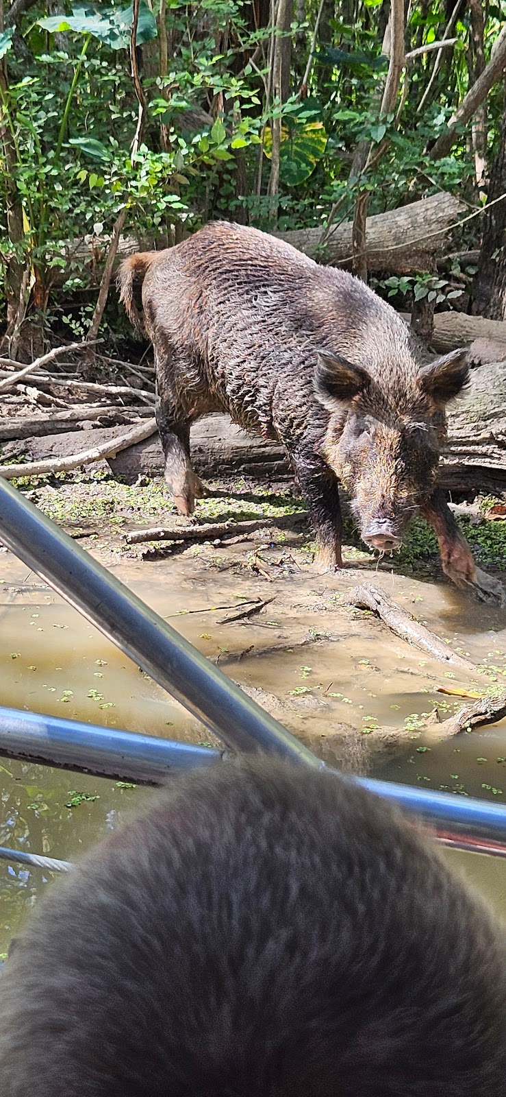 Cajun Unlimited Fishing Guide | restaurant | 42748 LA-23, Venice, LA 70091, USA | 5042342573 OR +1 504-234-2573