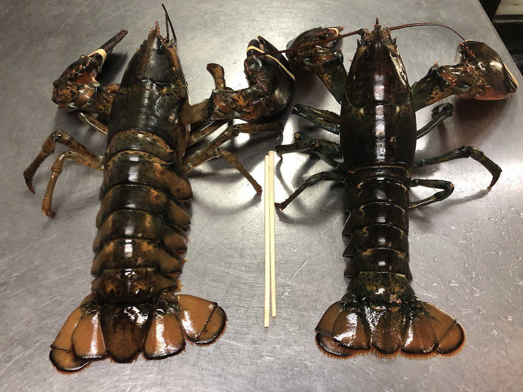 Sanma Japanese Restaurant | restaurant | 10 Akron St, Staten Island, NY 10314, USA | 7189835063 OR +1 718-983-5063