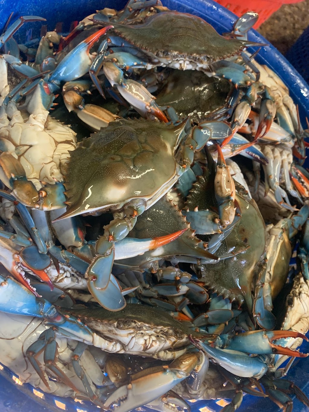 Buddys Quick Stop & Seafood | restaurant | 505 W Oak St, Amite City, LA 70422, USA | 9857483767 OR +1 985-748-3767