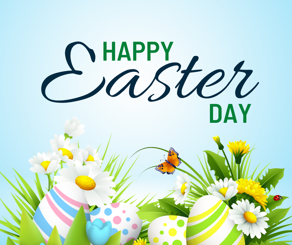 Blazin Shabu Shabu | restaurant | 13018 Harbor Blvd, Garden Grove, CA 92843, USA | 7145915311 OR +1 714-591-5311