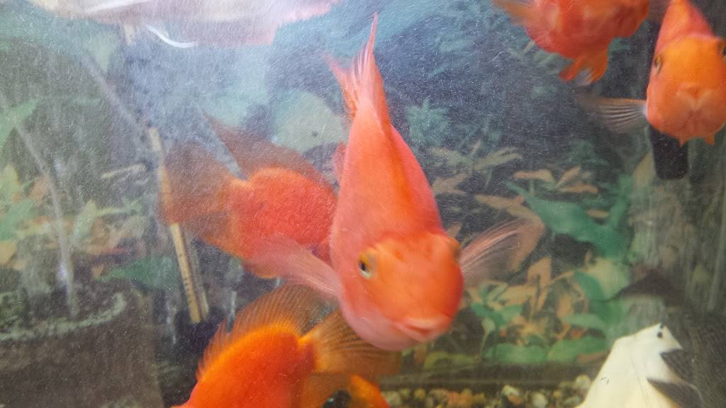 Bamboo House | restaurant | 398 Eastern Point Rd, Groton, CT 06340, USA | 8604490088 OR +1 860-449-0088