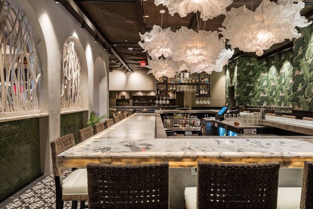 Tulum | restaurant | 4216 Oak Lawn Ave, Dallas, TX 75219, USA | 9726779747 OR +1 972-677-9747