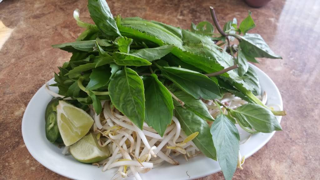 Pho 97 Oriental Restaurant | restaurant | 6800 49th St N, St. Petersburg, FL 33713, USA | 7275261997 OR +1 727-526-1997