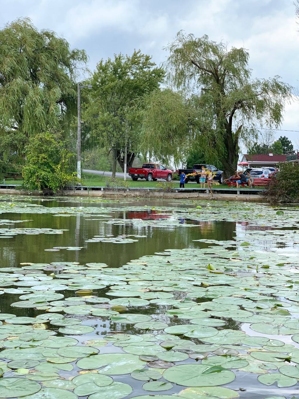 Grand River Marina & Cafe | restaurant | 7336 Rainham rd, Dunnville, ON N1A 1Z3, Canada | 6475889032 OR +1 647-588-9032