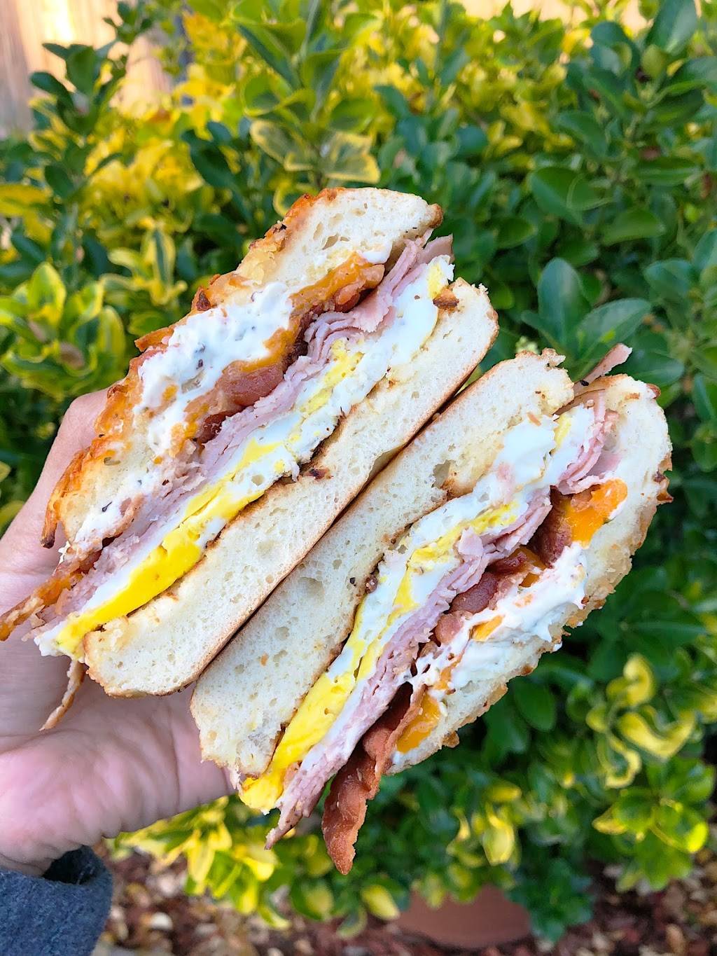 Einstein Bros. Bagels | bakery | 3827 Lemmon Ave, Dallas, TX 75219, USA | 2145265221 OR +1 214-526-5221