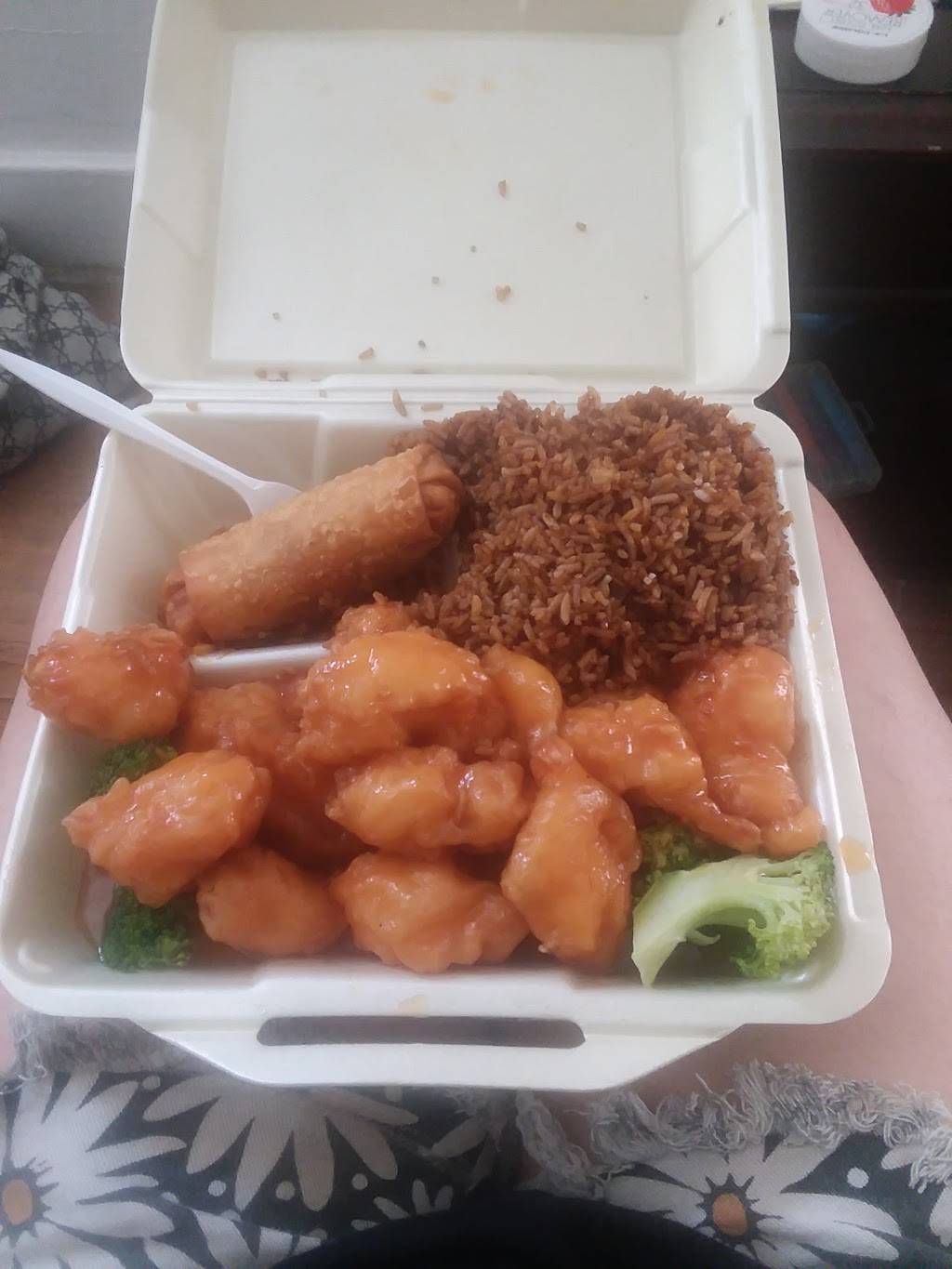 Hong Kong 1 | meal takeaway | 760 W Nine Mile Rd, Ferndale, MI 48220, USA | 2485447100 OR +1 248-544-7100