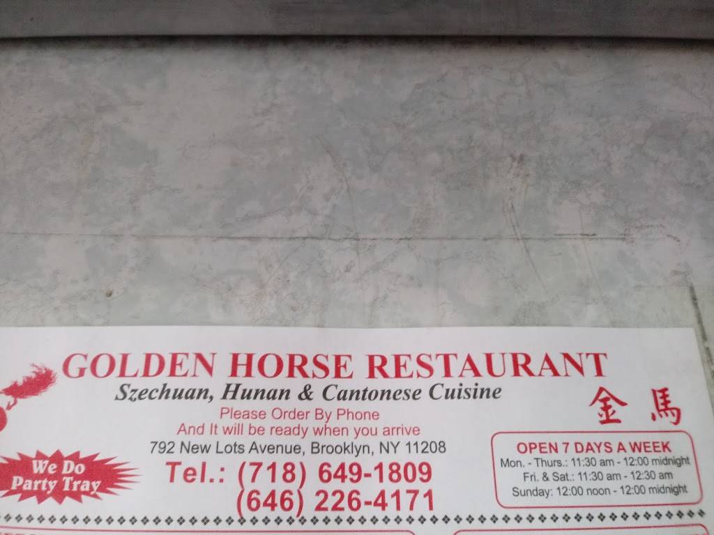 Golden Horse | restaurant | 792 New Lots Ave, Brooklyn, NY 11208, USA | 7186491809 OR +1 718-649-1809