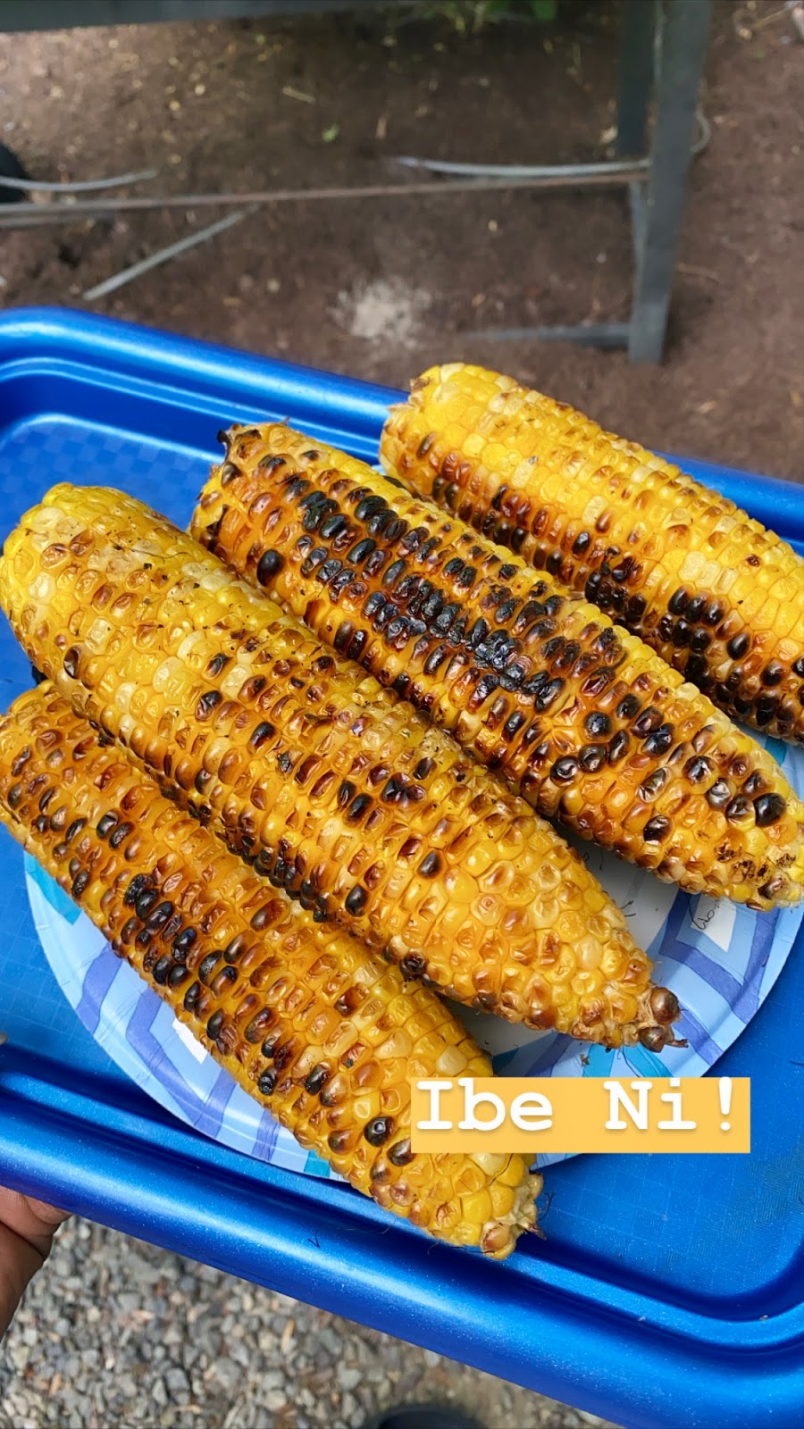 Jollof & Grill Restaurant/Lounge | restaurant | 432 Central Avenue Entrance via, 432 Central Ave, Newark, NJ 07107, USA | 9739395777 OR +1 973-939-5777