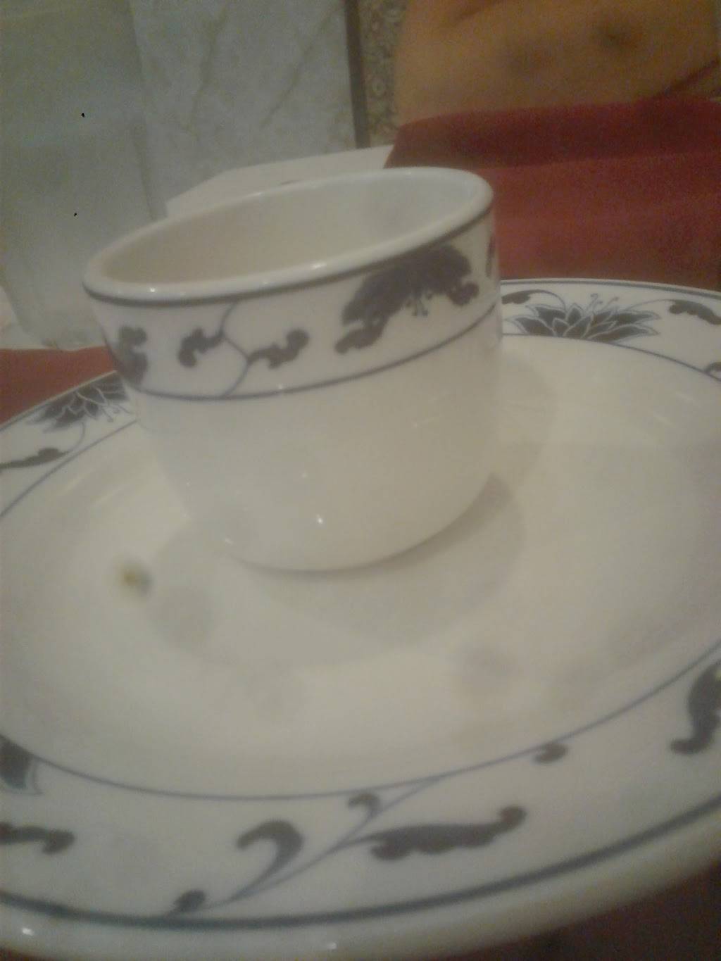 China Aston | restaurant | 415 Marianville Rd, Aston, PA 19014, USA | 6104972823 OR +1 610-497-2823