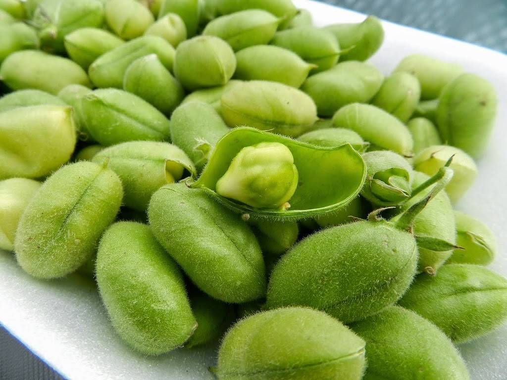 The Green Chicpea | restaurant | 59 Halsey St, Newark, NJ 07102, USA | 8622401500 OR +1 862-240-1500