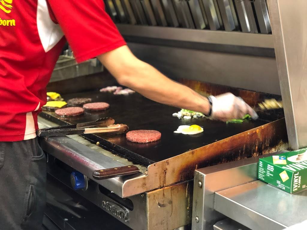 Sonic Drive-In | restaurant | 10403 Ford Rd, Dearborn, MI 48126, USA | 3134365033 OR +1 313-436-5033