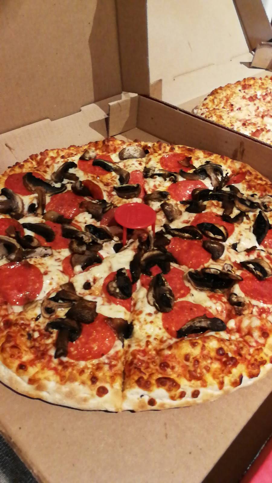 Double Double Pizza and Chicken | restaurant | 1335 Simcoe St N, Oshawa, ON L1G 4X1, Canada | 9057280000 OR +1 905-728-0000