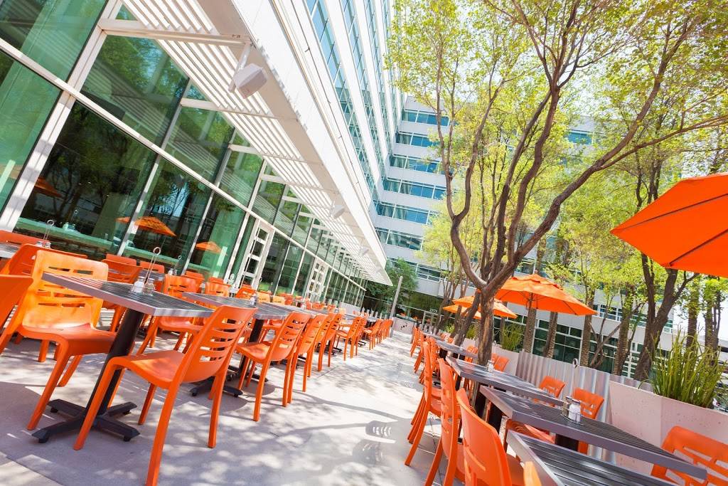 Scramble, a breakfast & lunch joint | restaurant | 2375 E Camelback Rd, Phoenix, AZ 85016, USA | 6028756888 OR +1 602-875-6888