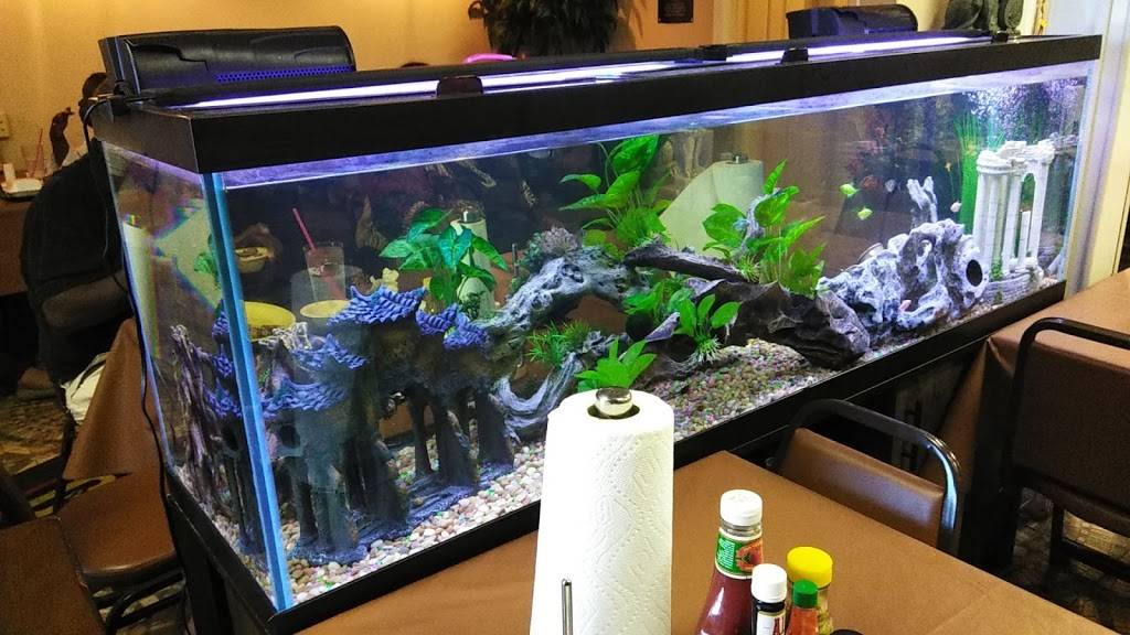 Cocos Soulfood | restaurant | 12611 Woodforest Blvd, Houston, TX 77015, USA | 7134532626 OR +1 713-453-2626