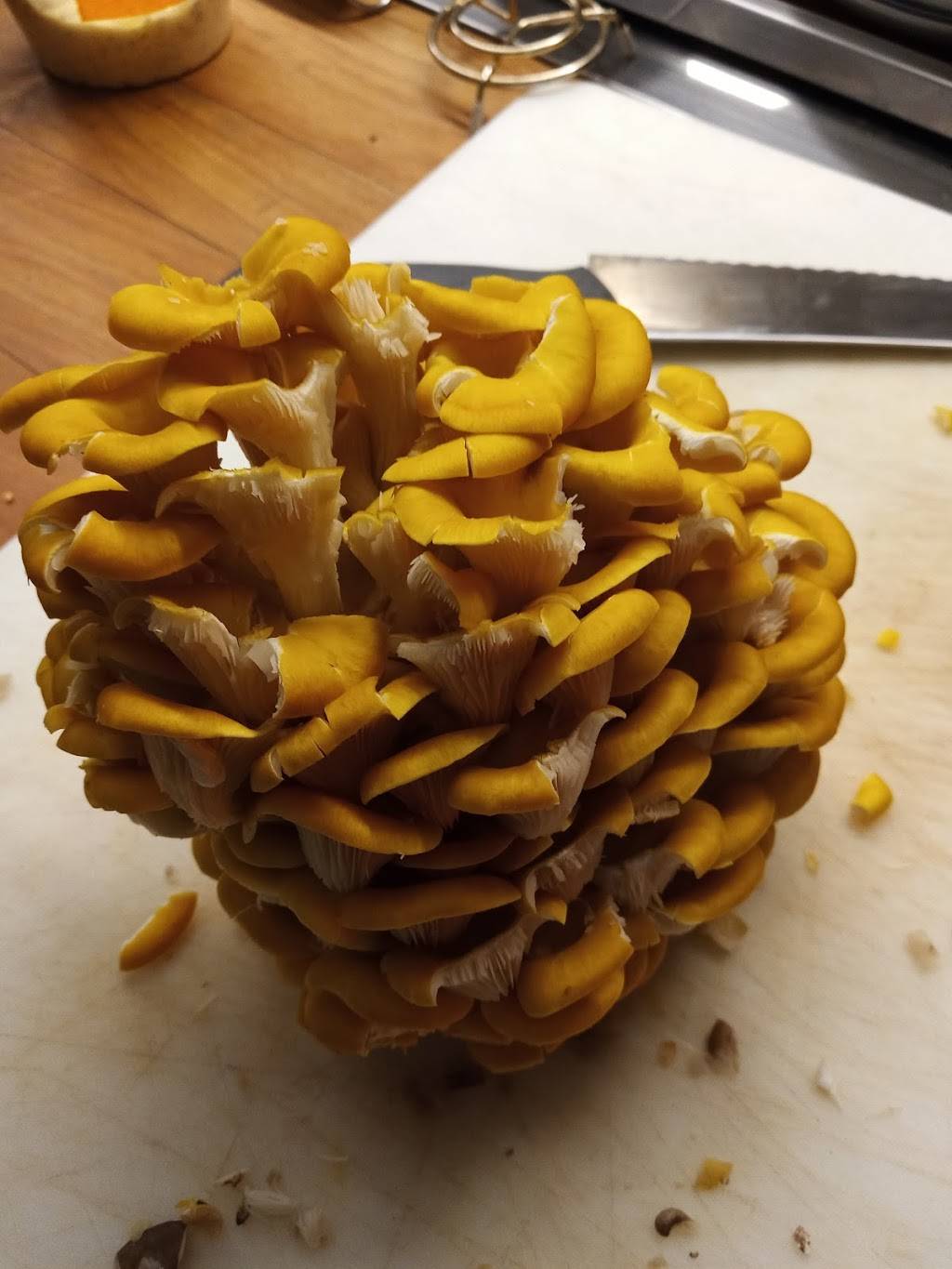 The Deer and The Dove | restaurant | 155 Sycamore St, Decatur, GA 30030, USA | 4047484617 OR +1 404-748-4617